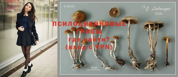 МДПВ Абаза