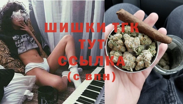 МДПВ Абаза