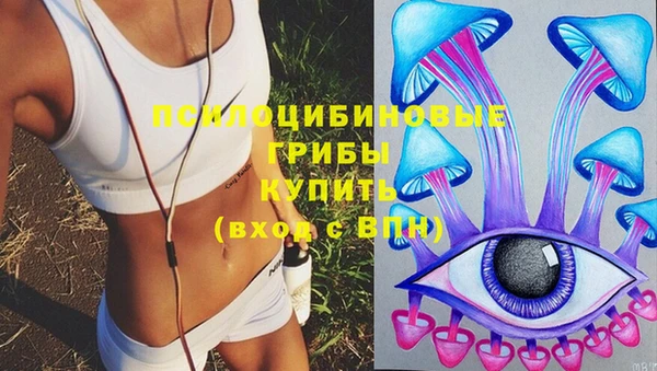 прущие грибы Новокубанск